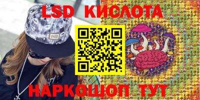 spice Сланцы